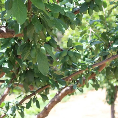 Naxos Holiday home *