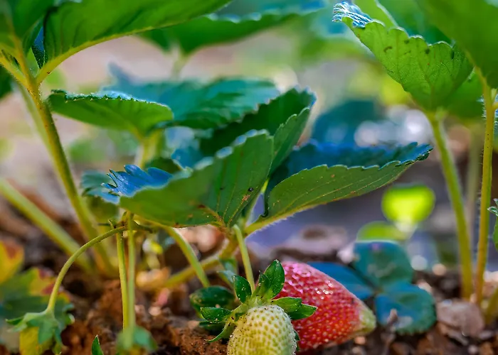 Naxos Casa de Férias *