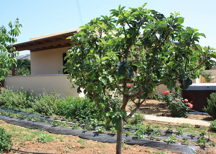 Casa de Férias Naxos Kato Sangrion