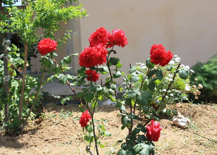 Naxos Casa de Férias