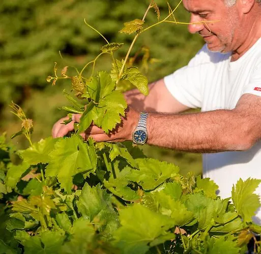 Casa de Férias Naxos Kato Sangrion
