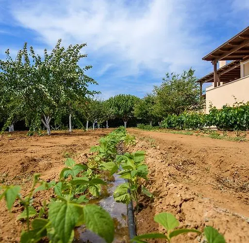 Naxos Casa de Férias *