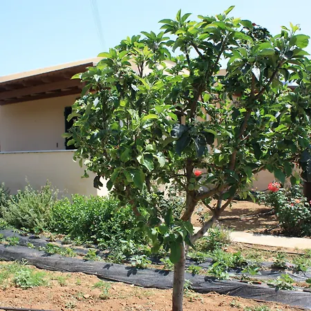 Semesterbostad Naxos Kato Sangrion