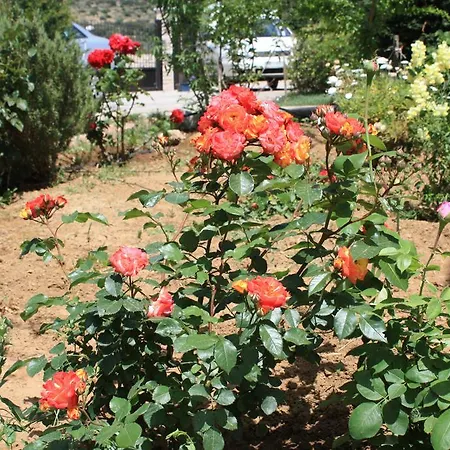 Naxos * Kato Sangrion