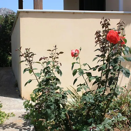 Hébergement de vacances Naxos Kato Sangrion