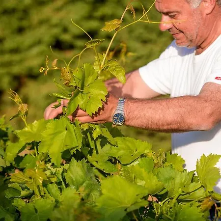 Semesterbostad Naxos Kato Sangrion