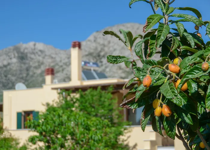 Дом отдыха Naxos *