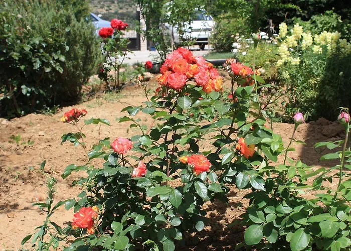 Naxos * Kato Sangrion